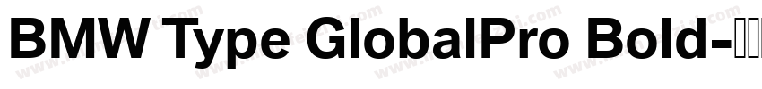 BMW Type GlobalPro Bold字体转换